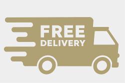 Free delivery icon